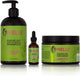 Mielle Organics Mielle/Rosemary Mint Strengthening/Shampoo/Hair Masque/Scalp & Hair Strengthening Oil (Serum)